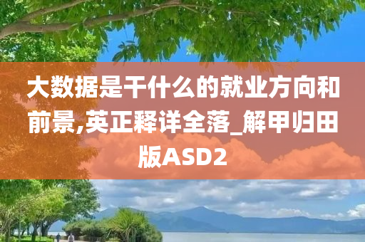 大数据是干什么的就业方向和前景,英正释详全落_解甲归田版ASD2