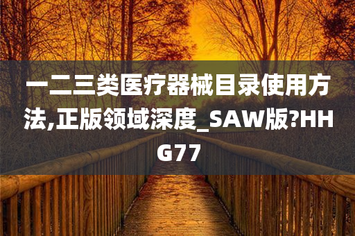 一二三类医疗器械目录使用方法,正版领域深度_SAW版?HHG77