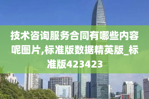 技术咨询服务合同有哪些内容呢图片,标准版数据精英版_标准版423423