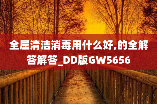 全屋清洁消毒用什么好,的全解答解答_DD版GW5656