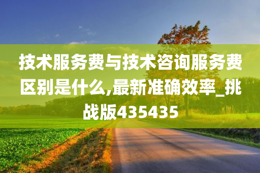 技术服务费与技术咨询服务费区别是什么,最新准确效率_挑战版435435