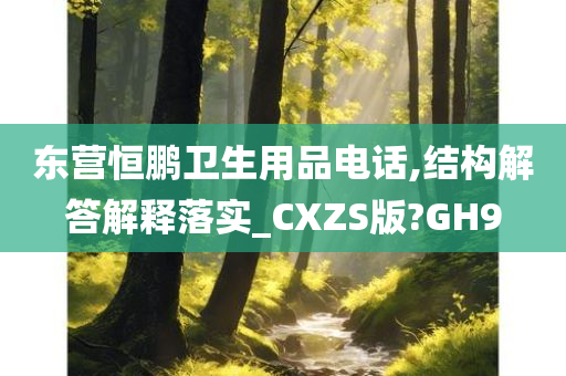 东营恒鹏卫生用品电话,结构解答解释落实_CXZS版?GH9