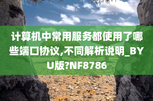 计算机中常用服务都使用了哪些端口协议,不同解析说明_BYU版?NF8786