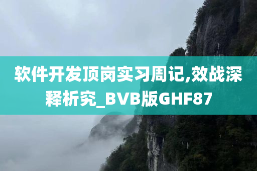 软件开发顶岗实习周记,效战深释析究_BVB版GHF87