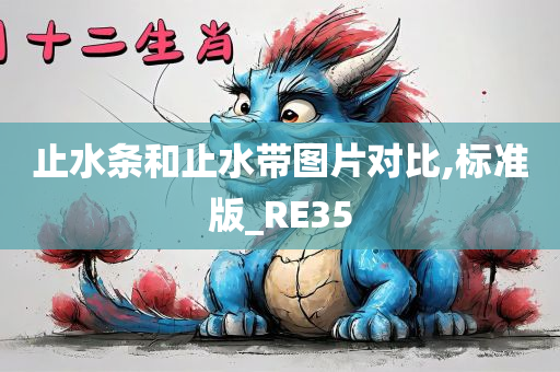 止水条和止水带图片对比,标准版_RE35