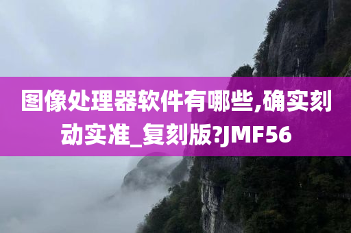 图像处理器软件有哪些,确实刻动实准_复刻版?JMF56