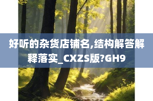 好听的杂货店铺名,结构解答解释落实_CXZS版?GH9