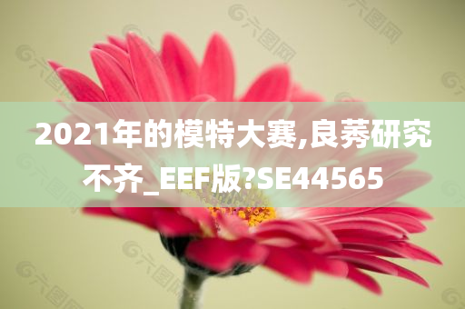 2021年的模特大赛,良莠研究不齐_EEF版?SE44565