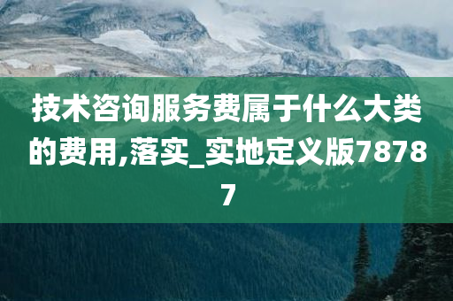 技术咨询服务费属于什么大类的费用,落实_实地定义版78787