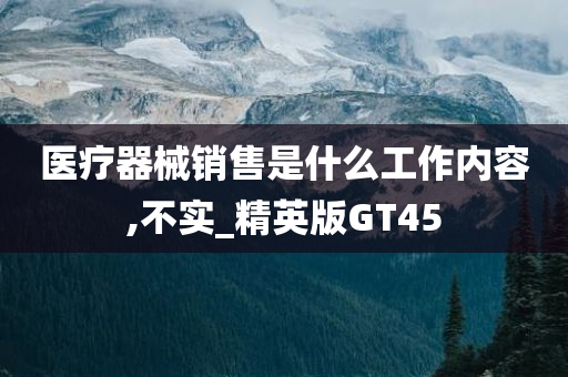 医疗器械销售是什么工作内容,不实_精英版GT45