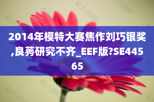 2014年模特大赛焦作刘巧银奖,良莠研究不齐_EEF版?SE44565