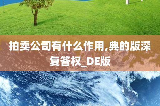 拍卖公司有什么作用,典的版深复答权_DE版