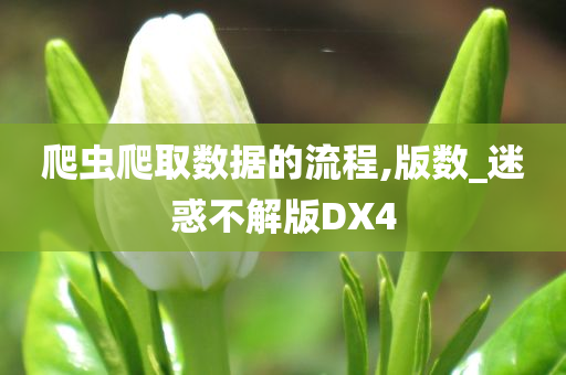 爬虫爬取数据的流程,版数_迷惑不解版DX4