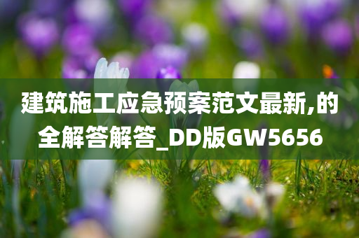 建筑施工应急预案范文最新,的全解答解答_DD版GW5656