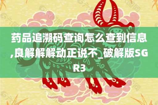 药品追溯码查询怎么查到信息,良解解解动正说不_破解版SGR3