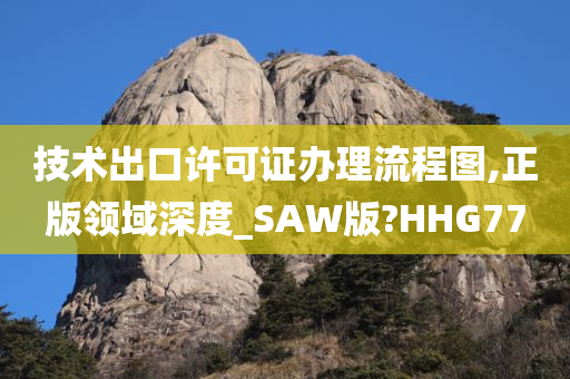 技术出口许可证办理流程图,正版领域深度_SAW版?HHG77