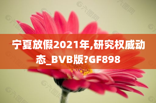 宁夏放假2021年,研究权威动态_BVB版?GF898