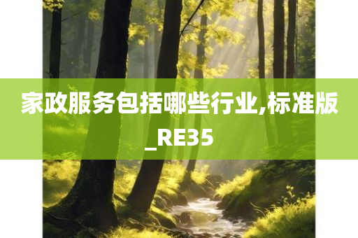 家政服务包括哪些行业,标准版_RE35