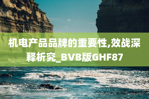 机电产品品牌的重要性,效战深释析究_BVB版GHF87