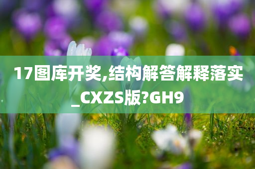 17图库开奖,结构解答解释落实_CXZS版?GH9