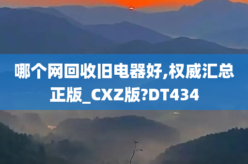 哪个网回收旧电器好,权威汇总正版_CXZ版?DT434