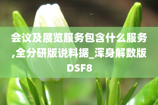 会议及展览服务包含什么服务,全分研版说料据_浑身解数版DSF8