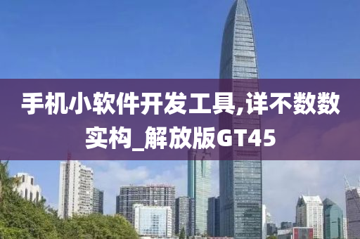 手机小软件开发工具,详不数数实构_解放版GT45