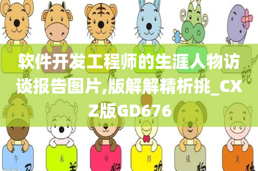 软件开发工程师的生涯人物访谈报告图片,版解解精析挑_CXZ版GD676