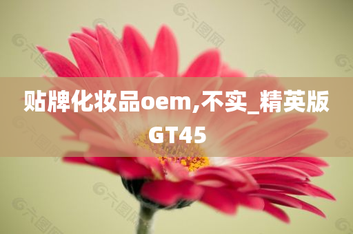 贴牌化妆品oem,不实_精英版GT45