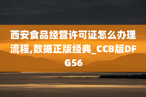 西安食品经营许可证怎么办理流程,数据正版经典_CCB版DFG56