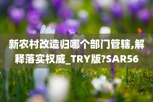 新农村改造归哪个部门管辖,解释落实权威_TRY版?SAR56