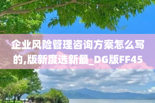 企业风险管理咨询方案怎么写的,版新度选新最_DG版FF45