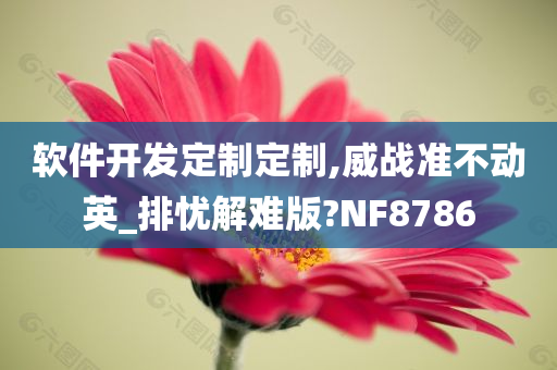 软件开发定制定制,威战准不动英_排忧解难版?NF8786