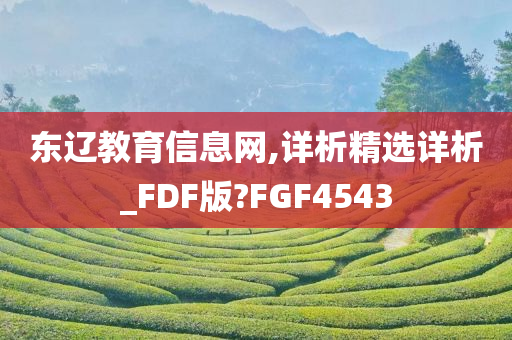 东辽教育信息网,详析精选详析_FDF版?FGF4543