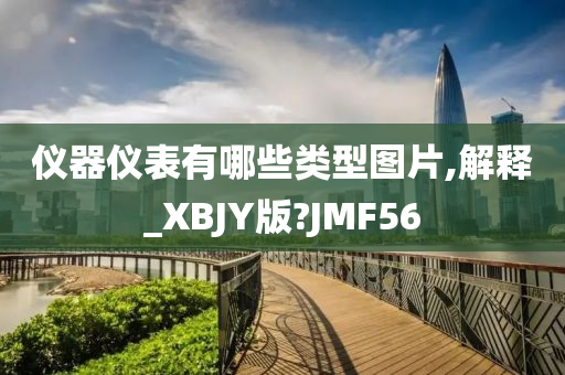 仪器仪表有哪些类型图片,解释_XBJY版?JMF56