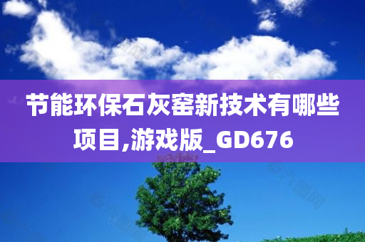 节能环保石灰窑新技术有哪些项目,游戏版_GD676