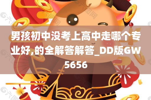 男孩初中没考上高中走哪个专业好,的全解答解答_DD版GW5656