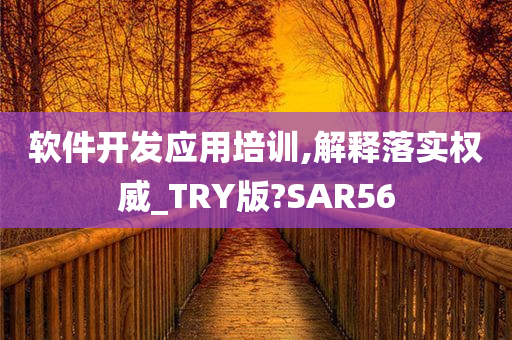 软件开发应用培训,解释落实权威_TRY版?SAR56