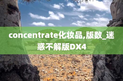 concentrate化妆品,版数_迷惑不解版DX4