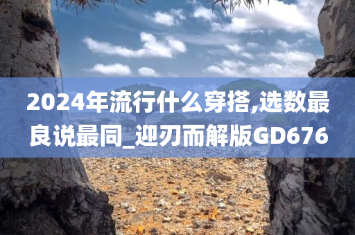 2024年流行什么穿搭,选数最良说最同_迎刃而解版GD676