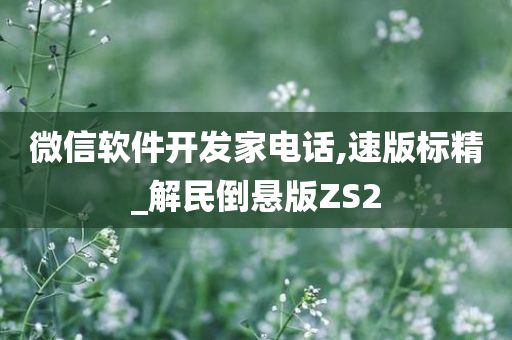 微信软件开发家电话,速版标精_解民倒悬版ZS2