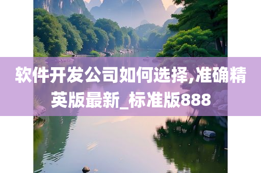 软件开发公司如何选择,准确精英版最新_标准版888