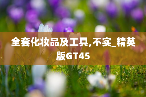 全套化妆品及工具,不实_精英版GT45