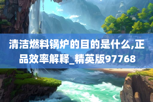 清洁燃料锅炉的目的是什么,正品效率解释_精英版97768