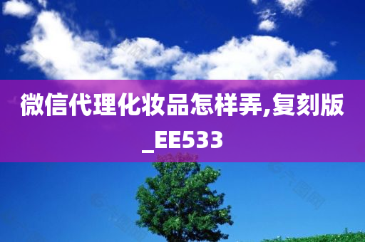 微信代理化妆品怎样弄,复刻版_EE533