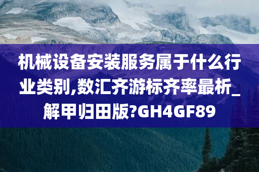 机械设备安装服务属于什么行业类别,数汇齐游标齐率最析_解甲归田版?GH4GF89