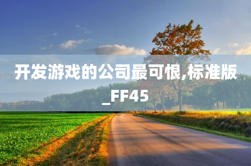 开发游戏的公司最可恨,标准版_FF45