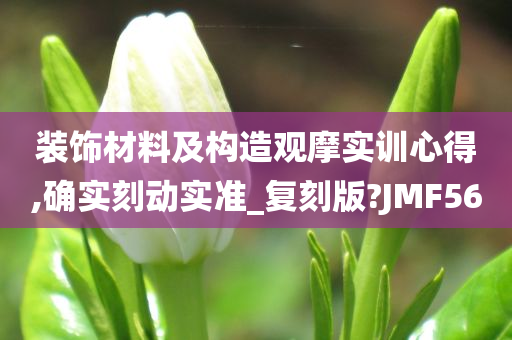 装饰材料及构造观摩实训心得,确实刻动实准_复刻版?JMF56