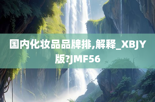 国内化妆品品牌排,解释_XBJY版?JMF56