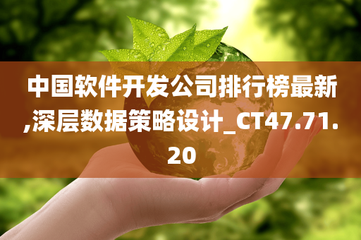 中国软件开发公司排行榜最新,深层数据策略设计_CT47.71.20